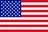 U.S. flag icon
